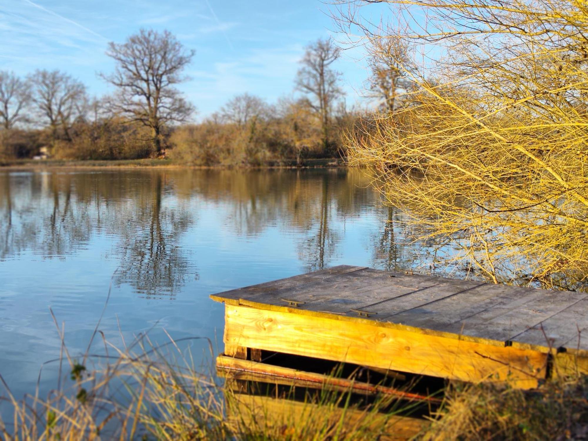 Domaine De La Roseliere • Nature • Brenne Rosnay  المظهر الخارجي الصورة