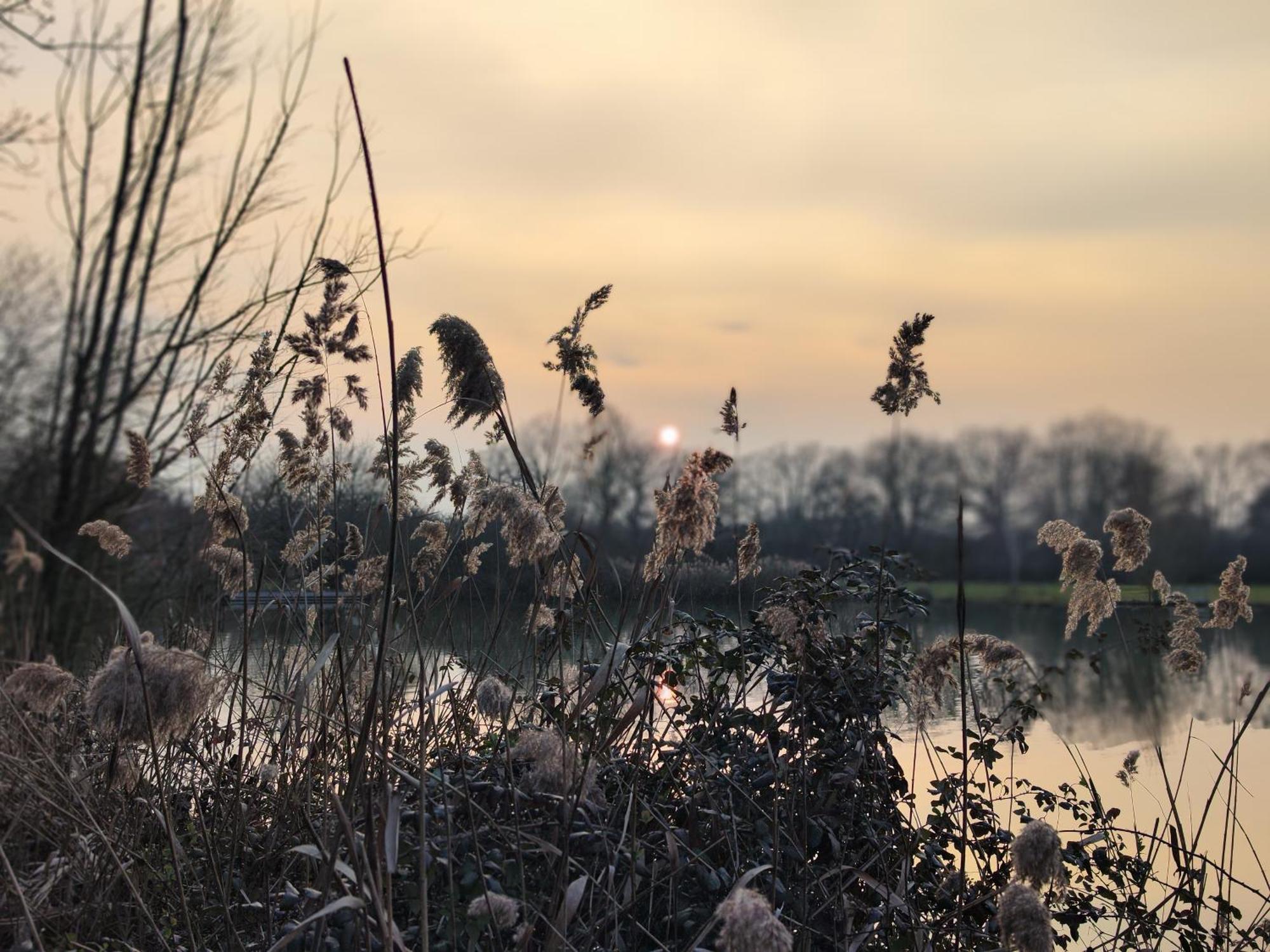 Domaine De La Roseliere • Nature • Brenne Rosnay  المظهر الخارجي الصورة