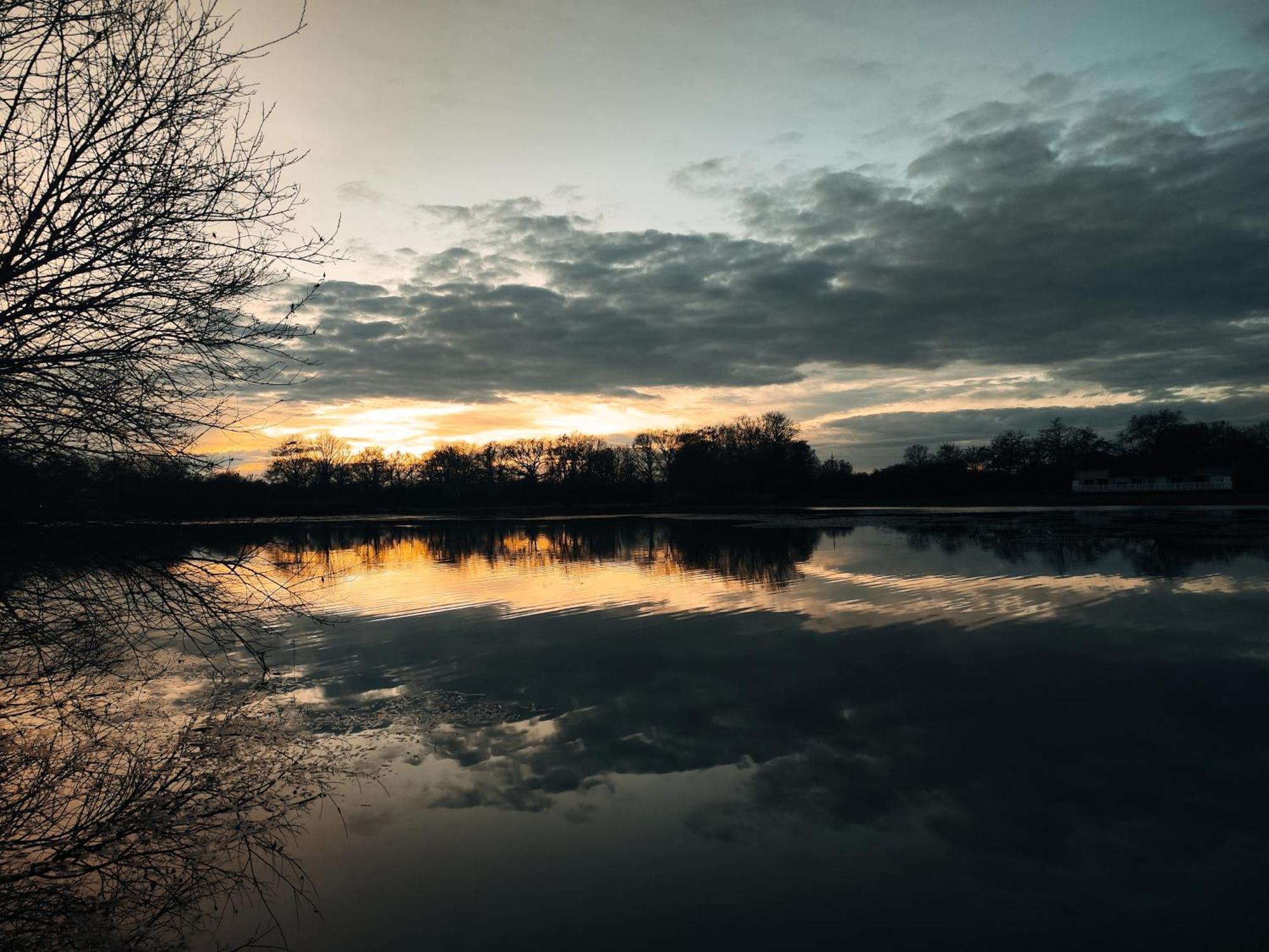 Domaine De La Roseliere • Nature • Brenne Rosnay  المظهر الخارجي الصورة