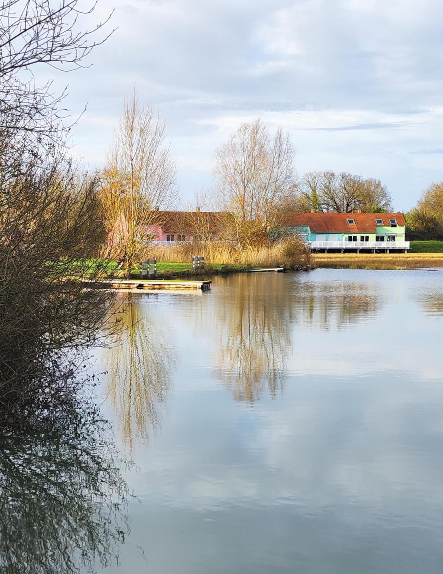 Domaine De La Roseliere • Nature • Brenne Rosnay  المظهر الخارجي الصورة